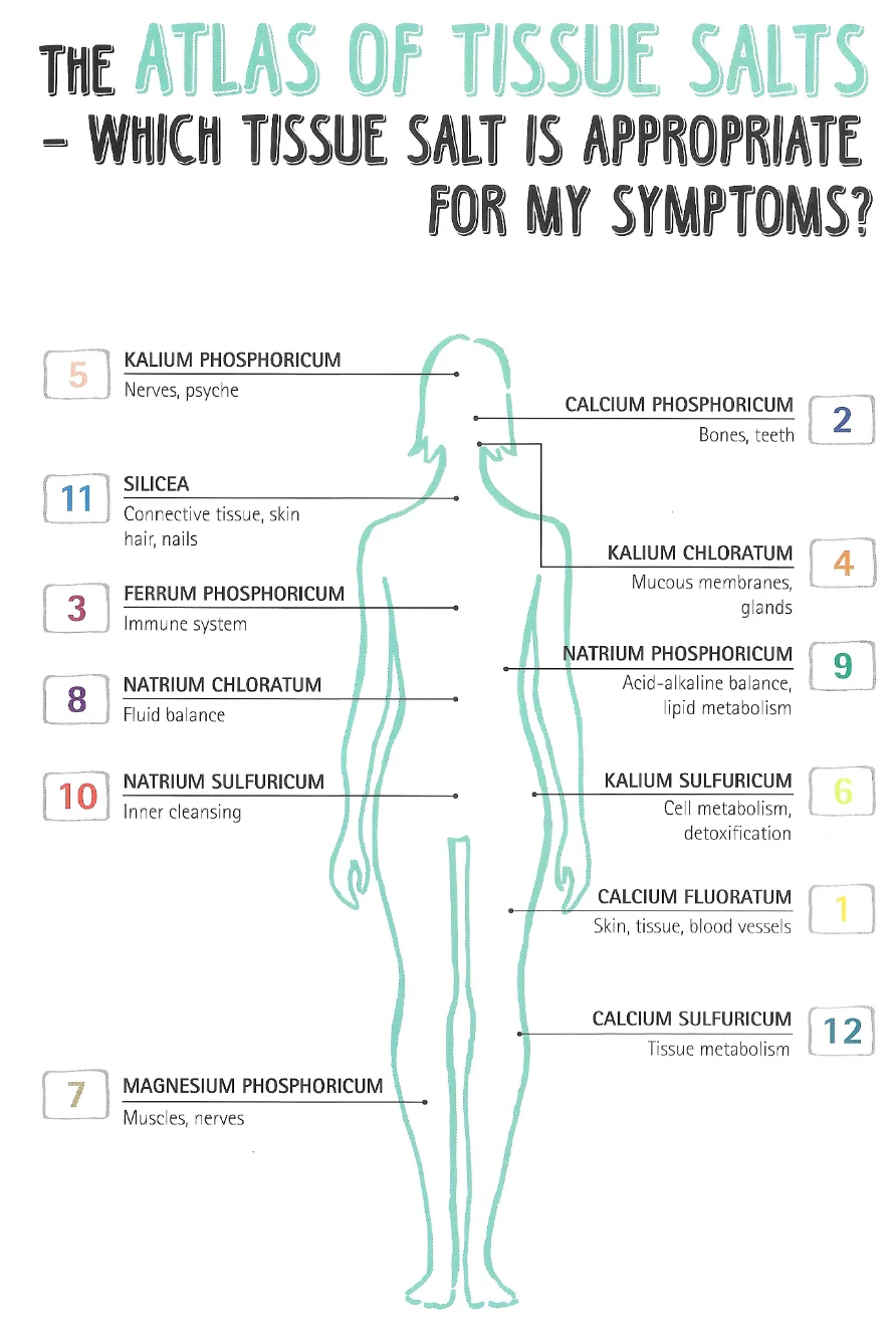 Atlas of Tissue Salts